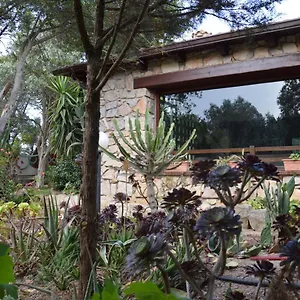  Ferienhaus Giardino Degli Ulivi